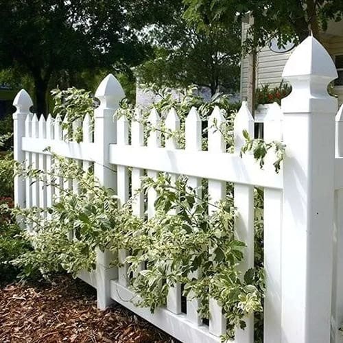 traditional-fence fencing-brisbane
